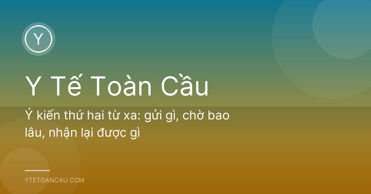 Ý kiến thứ hai từ xa: gửi gì, chờ bao lâu, nhận lại được gì